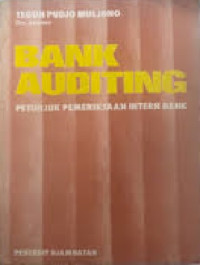 Image of Bank Auditing