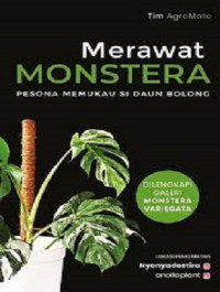 Image of Merawat Monstera Pesona Memukau Si Daun Bolong